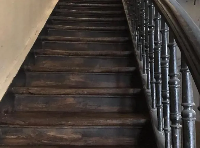 On Shevchenko Avenue * Львов